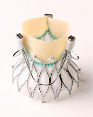Medtronic store pacemaker bracelet